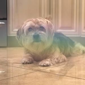 Meet your Posher, Helena